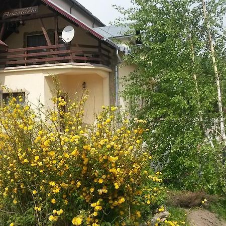 Pension Anastasia Gura Humorului Exterior foto