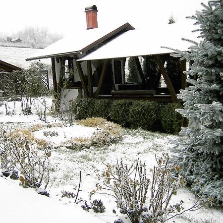 Pension Anastasia Gura Humorului Exterior foto
